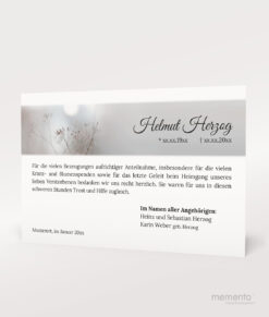 Produktbild Graue Gräser Danksagung Trauer Einzelkarte