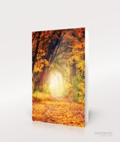 Produktbild Sterbebild Waldweg im Herbst